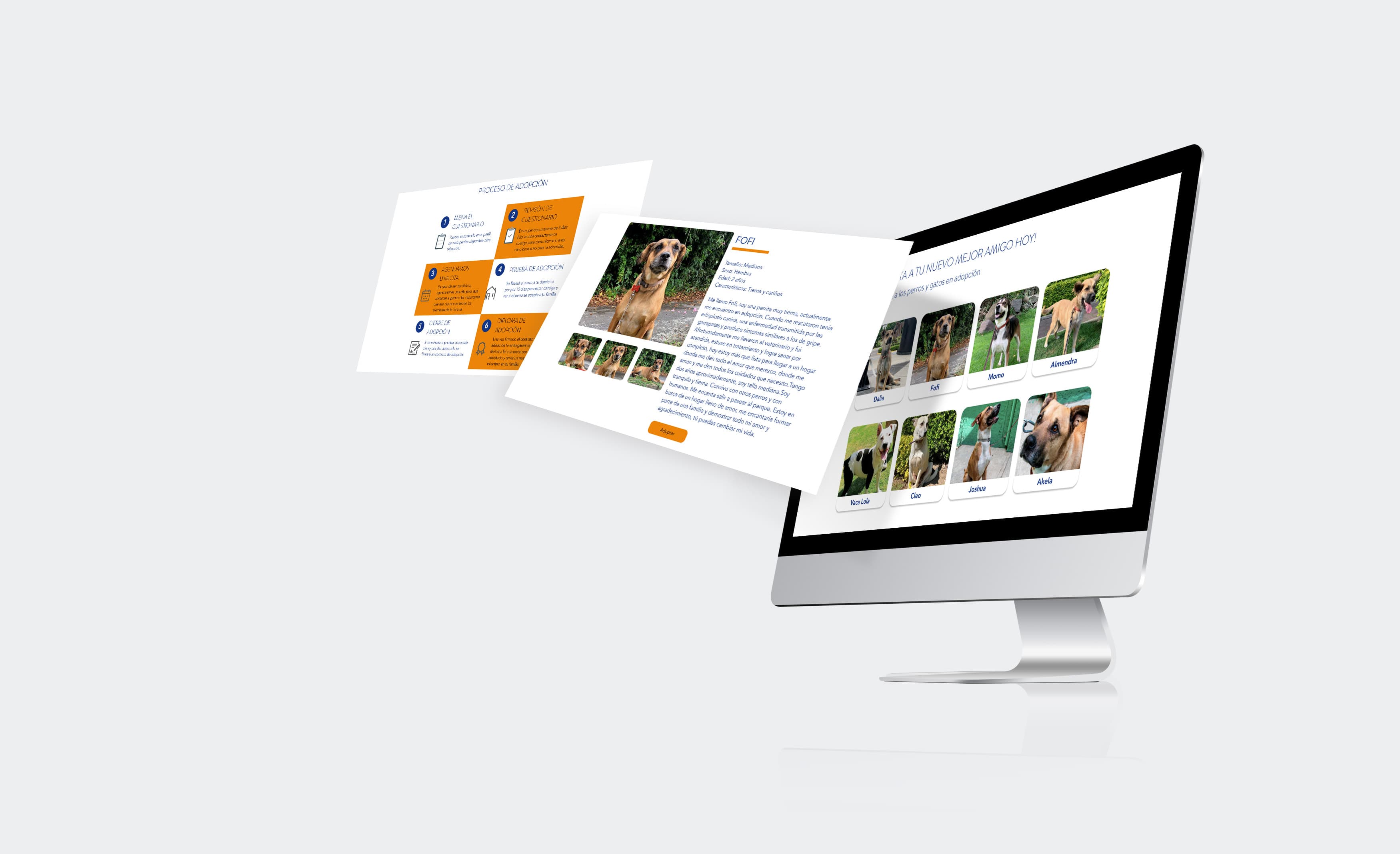 Mockup del sitio rediseñado de Omeyocan
