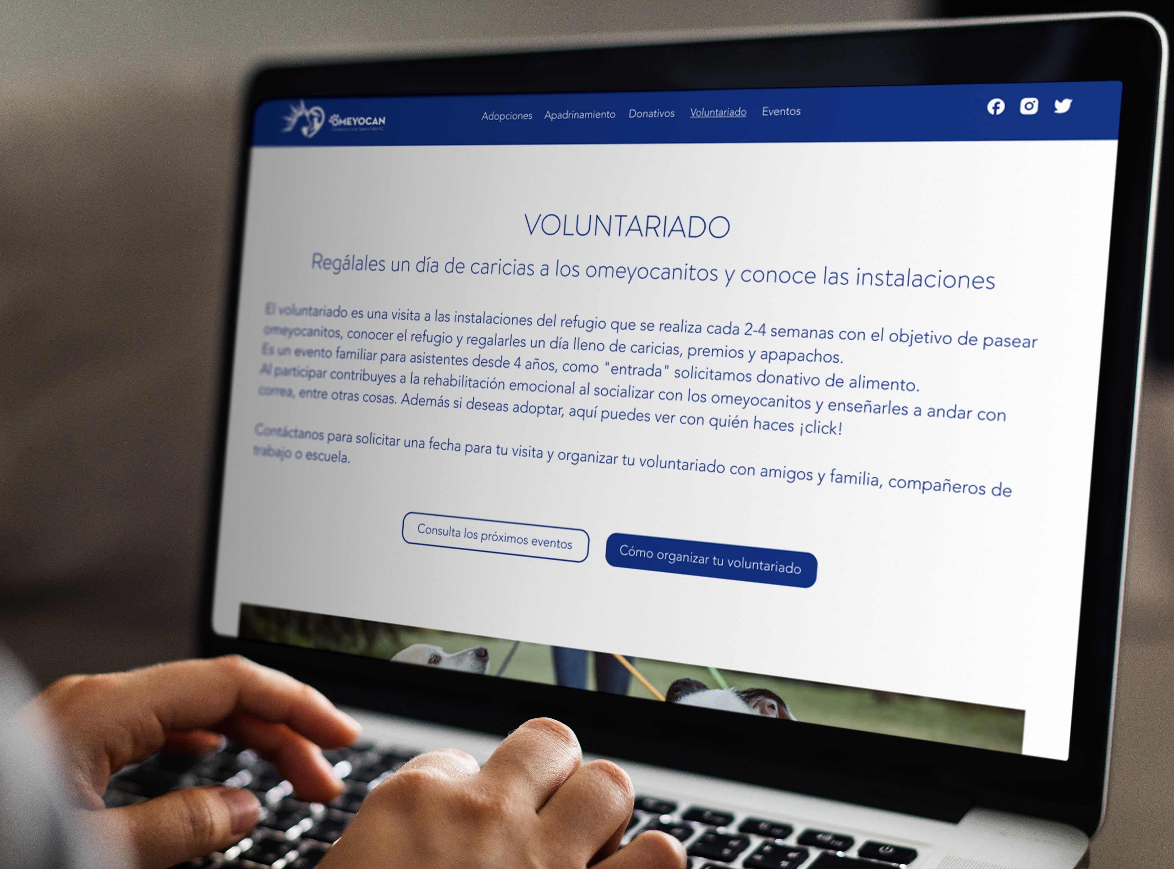 Mockup del sitio rediseñado de Omeyocan